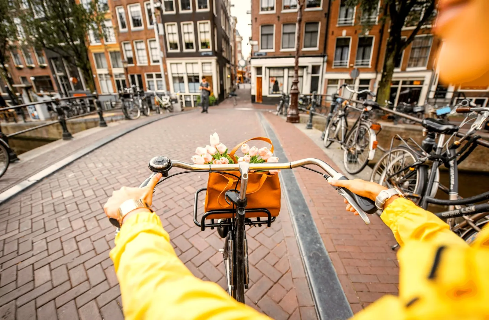 First person view riding a bike over an Amsterdam bridge with tulips in the basket