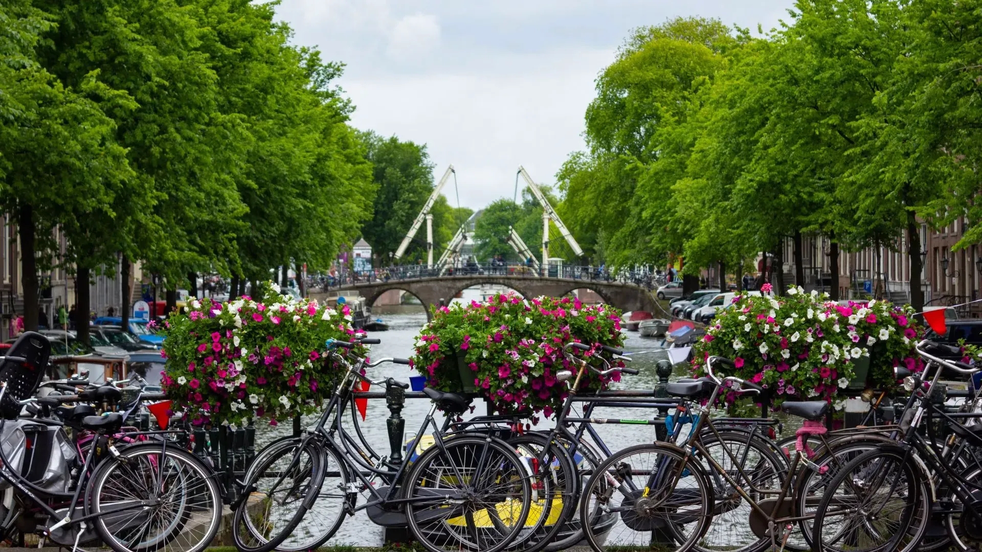 Parked bicycles and pink flower baskets on an Amsterdam canal bridge with a white drawbridge in the distance