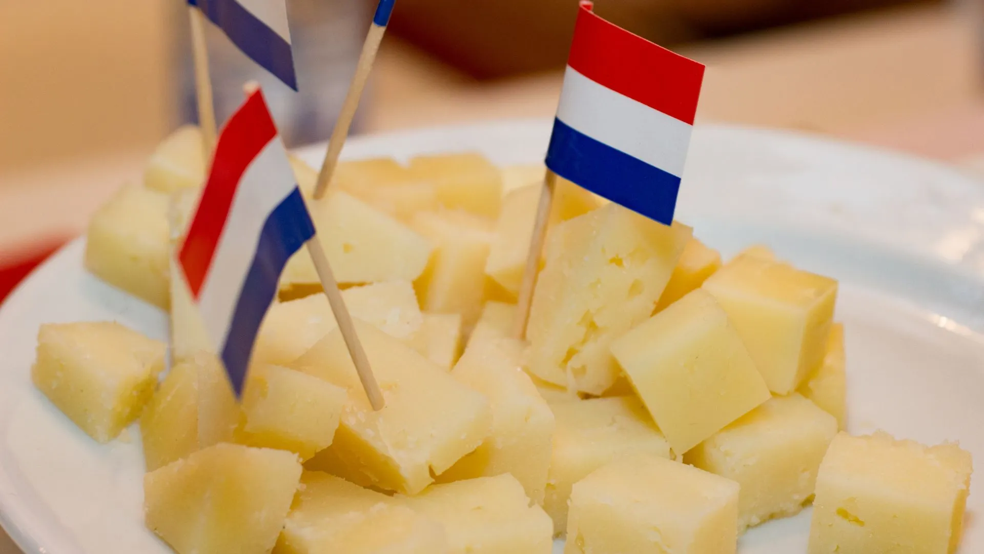 The best dutch cheese you need to try in amsterdam