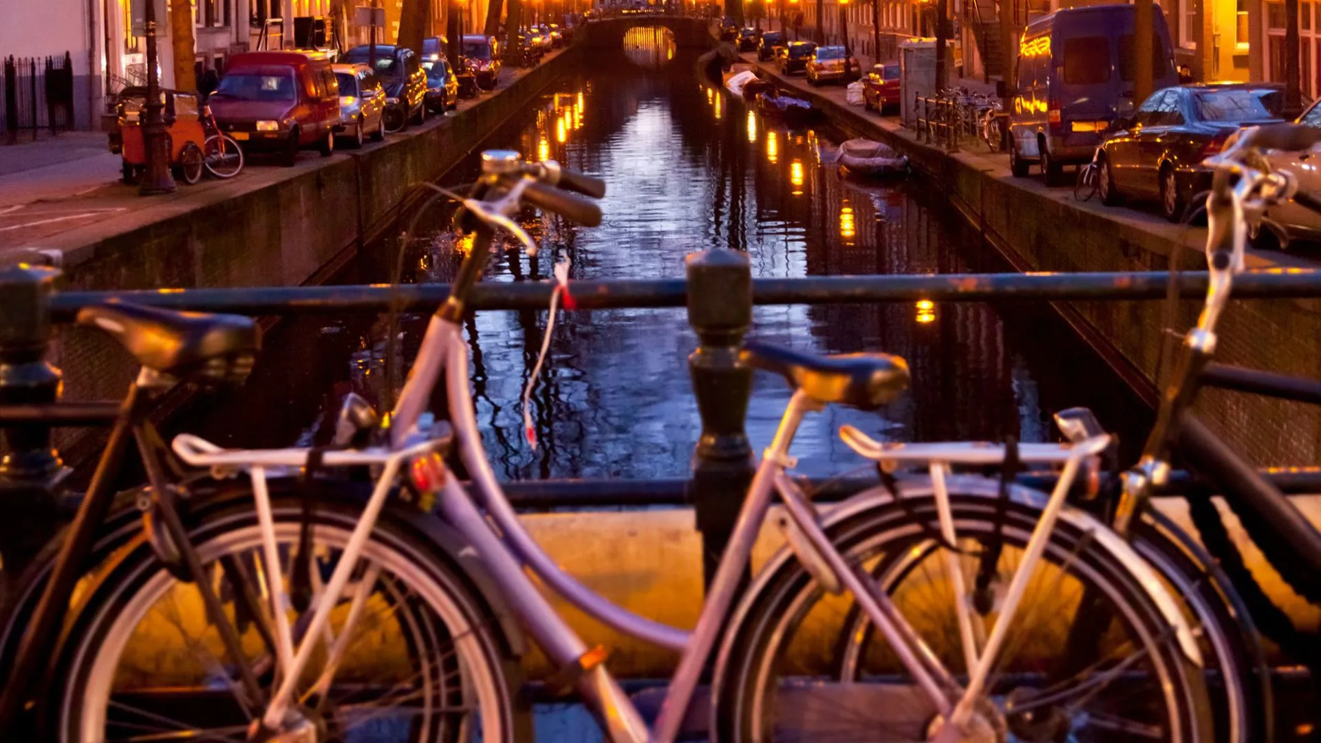 Touring Urban Farms, Markets and Organic Cafés in Amsterdam