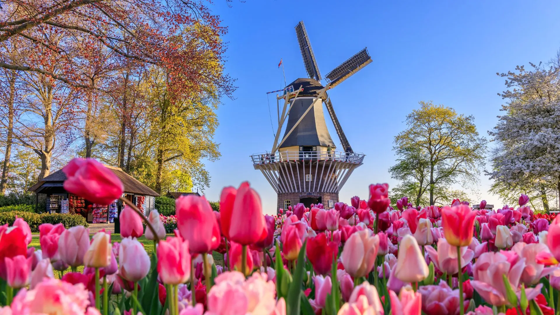 Touring Urban Farms, Markets and Organic Cafés in Amsterdam