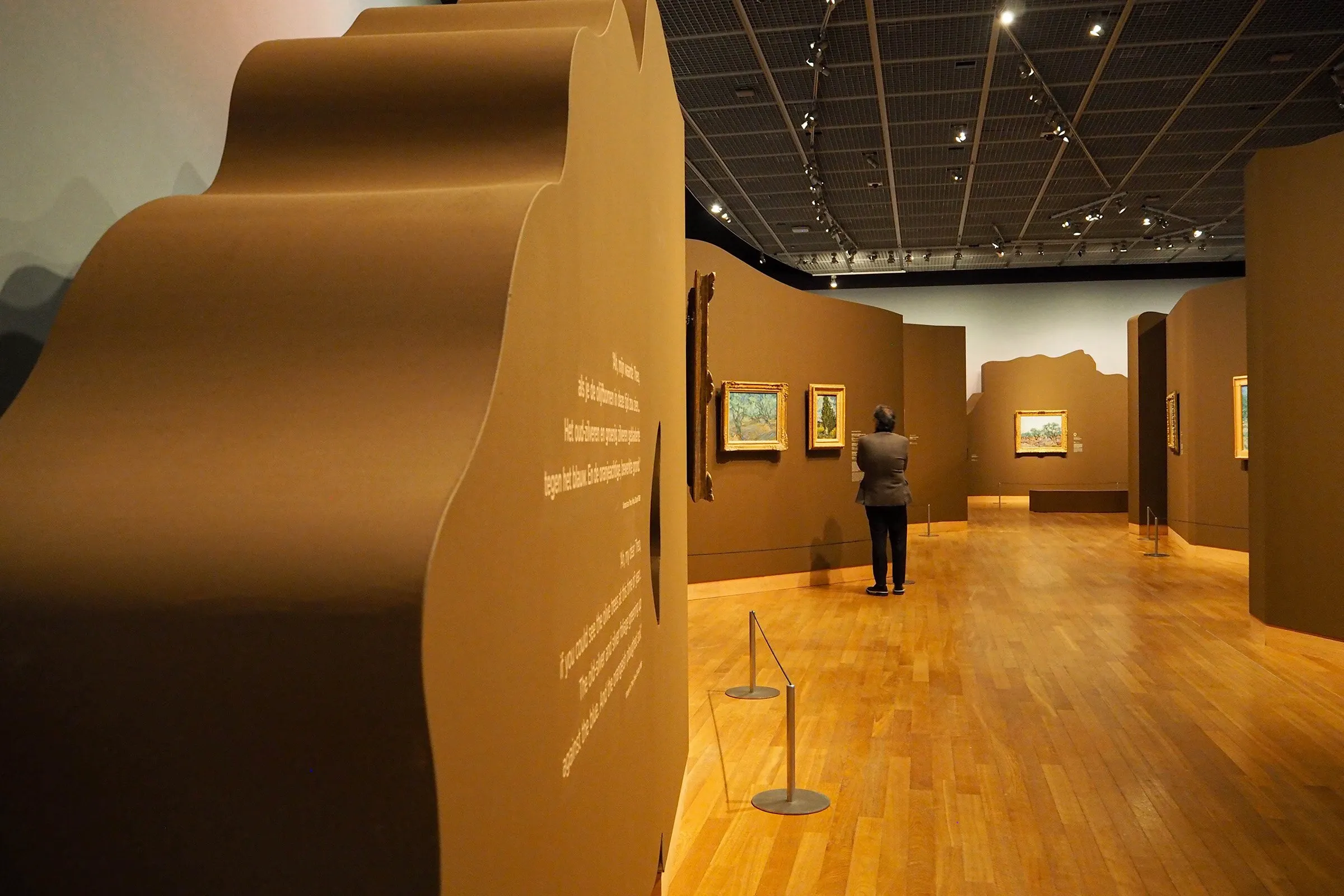 Visitor looking at framed Van Gogh paintings hung on curved brown partition walls in a dimly lit exhibition space